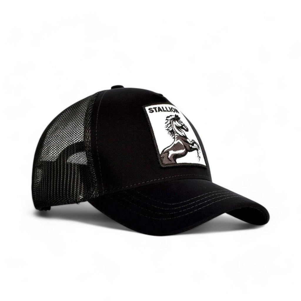 Black Stallion Cap